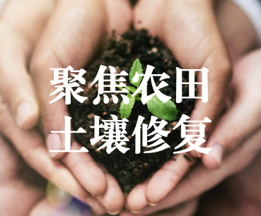 聚焦農(nóng)田土壤修復(fù)，保障糧食產(chǎn)品安全 ——踔厲奮發(fā)、篤行不怠，以奮斗之姿獻(xiàn)禮黨的二十大