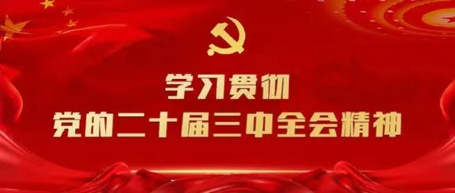學(xué)習(xí)會議精神，貫徹落實(shí)工作 --川勘天晟源公司黨支部召開主題黨員大會